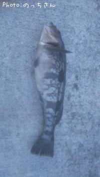 �����ʥ�