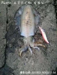 �����ꥤ��