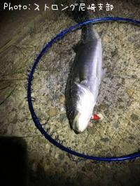 �����Х�