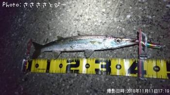 ¥«¥Þ¥¹¡õ¥¢¥¸