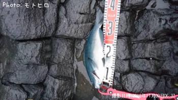 ¸ýÂÀ¥á¥¸¥Ê