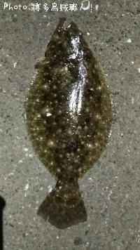 ¥¢¥ª¥ê¥¤¥«