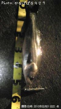 �����Х�