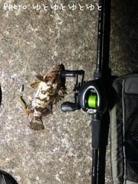 ¥¿¥±¥Î¥³¥á¥Ð¥ë