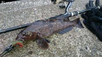 �����ʥ�