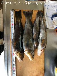 �����ʥ�