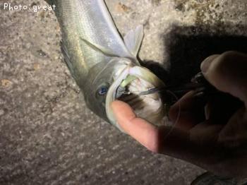 �����Х�