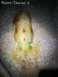 �����ꥤ��