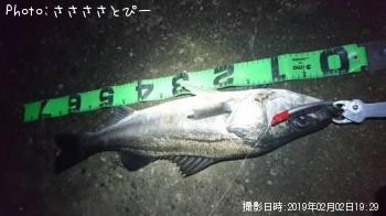 �����Х�