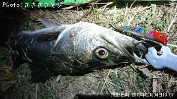 �����Х�