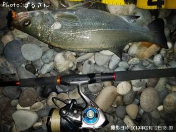 ¥Ò¥é¥Õ¥Ã¥³