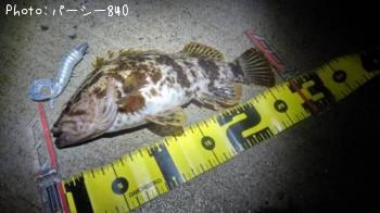 �����Υ���Х�