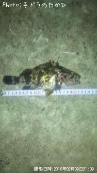 ¥¿¥±¥Î¥³¥á¥Ð¥ë