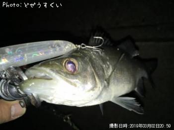 �����Х��ʥҥ饻������