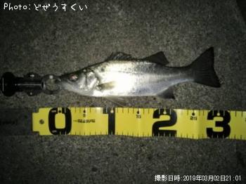 �����Х��ʥҥ饻������