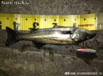 �����Х�