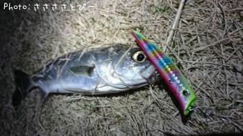 �����Х�