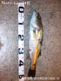 �����Х�