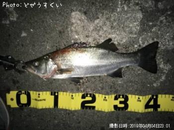 �����Х��ʥҥ饻������