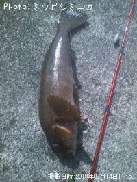 �����ʥ�