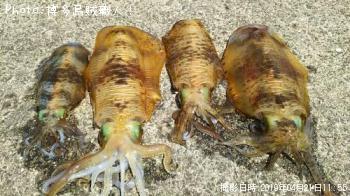 �����ꥤ��