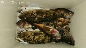 �����������Υ���Х�