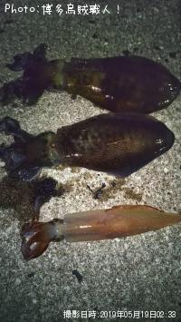 �����ꥤ��