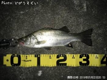 �����Х��ʥҥ饻������