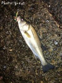 �����Х�