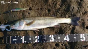 �����Х�