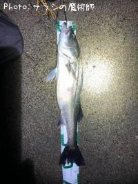 �����Х�