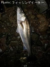 �����Х�