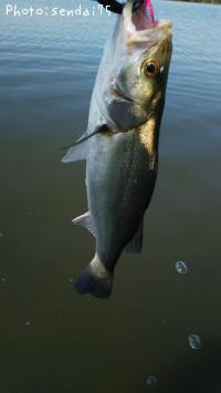 �����Х�