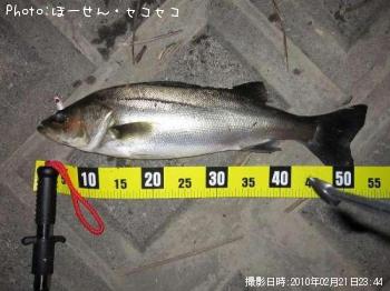 �����Х�