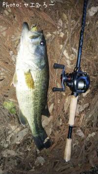 �֥�å��Х�