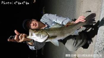 �����Х�