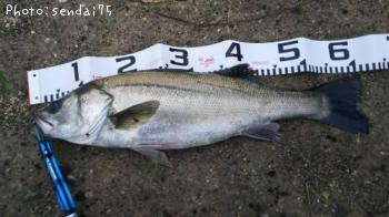 �����Х�