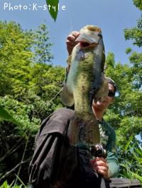 ¥Ö¥é¥Ã¥¯¥Ð¥¹