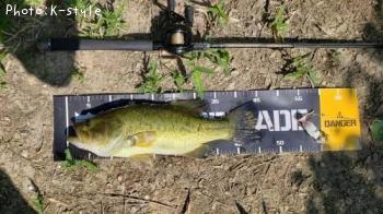 ¥Ö¥é¥Ã¥¯¥Ð¥¹