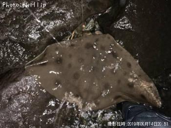 �ĥХ�������