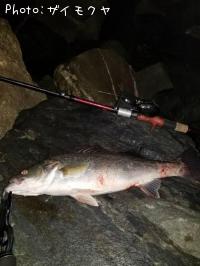 �����Х�