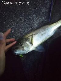 �����Х�