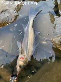 �����Х�