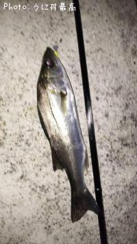 �����Х�