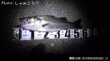 �����Х�