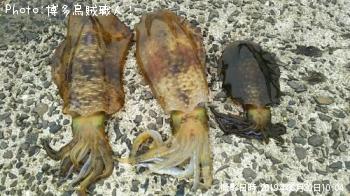 �����ꥤ��