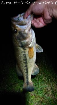 ¥Ö¥é¥Ã¥¯¥Ð¥¹