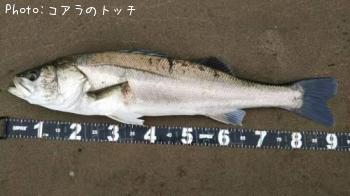 �����Х�