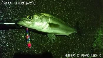 �����Х�