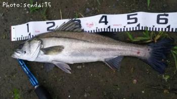 �����Х�